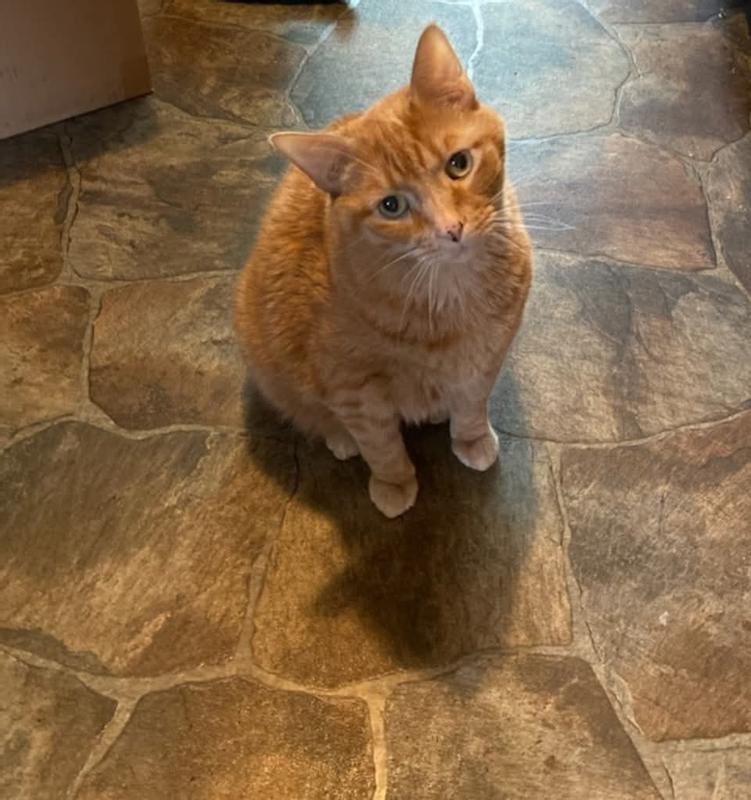 The look I get when Oliver wants 4Health!