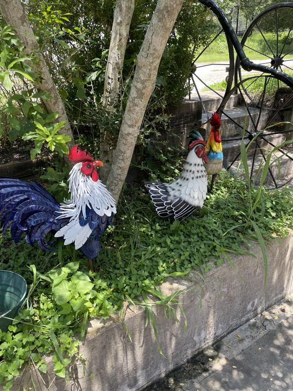 Chicken art