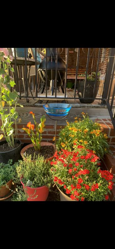 Loving this bird bath