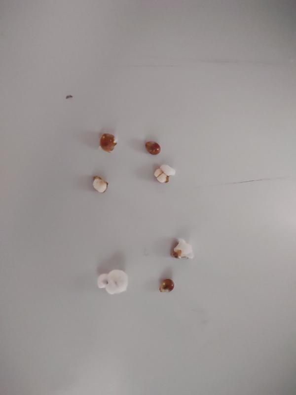 Old maids from 2 batches