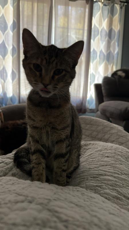 The baby that also had a cough