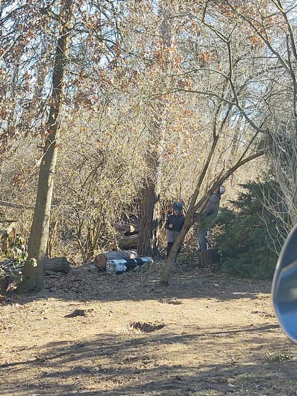 Even the little guy is in on the almost fence shennanigans