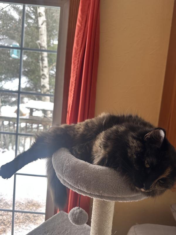 Barely hanging on aaaggghhh!