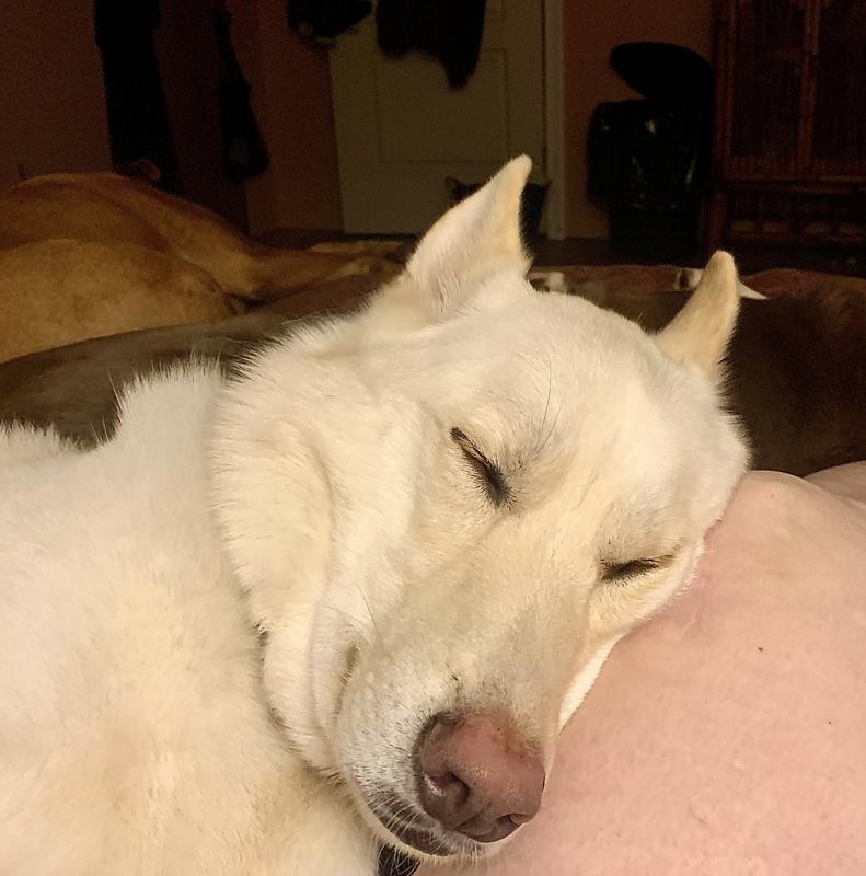 Peaceful post boney dreams