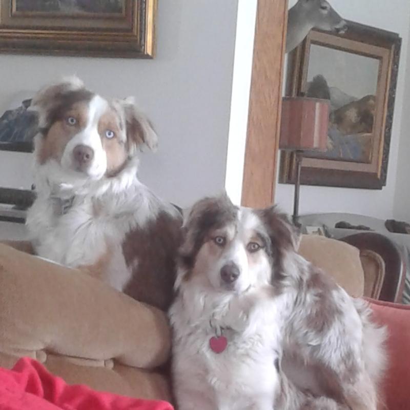 First snow. Second one  waiting tor the treats