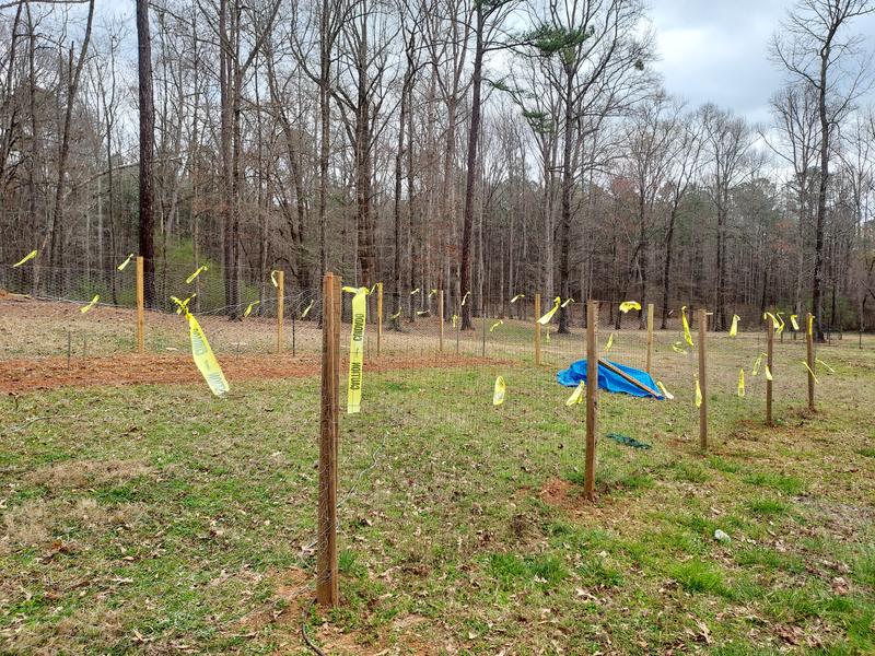 I put caution tape on the chicken wire so the deer can see it. If not they will run into the fence when spooked.
