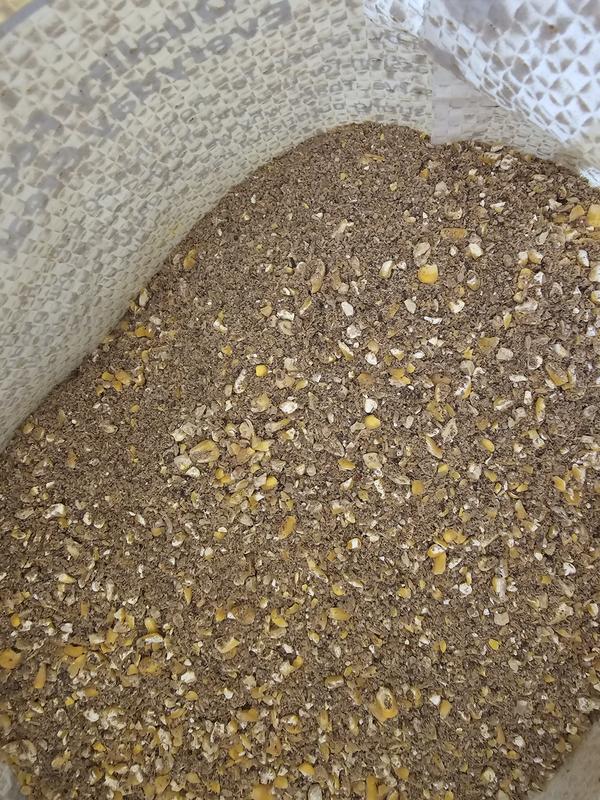 DUST - NOTHING BUT DUST