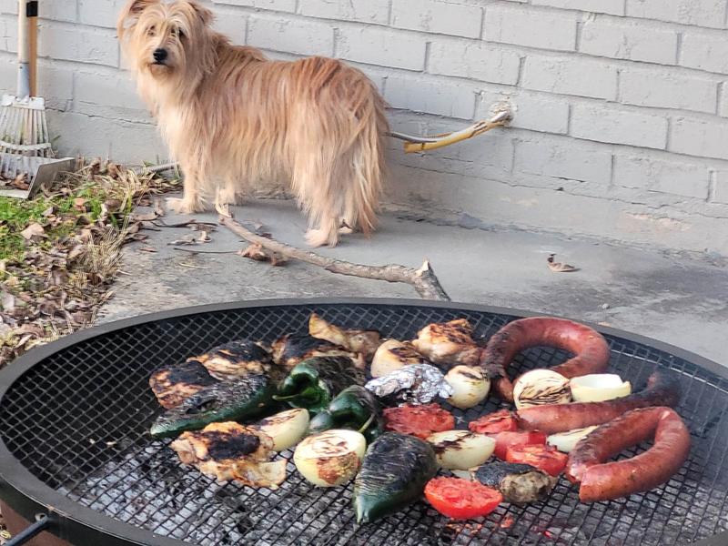 fire pit and grill with Maggie in background