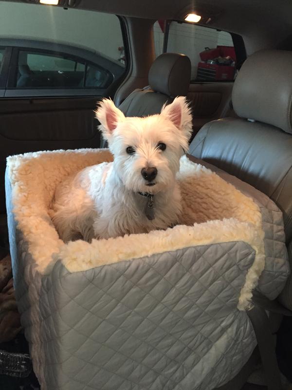 Love my car seat!