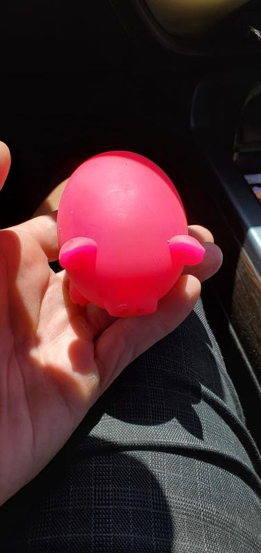 Too small for my dog