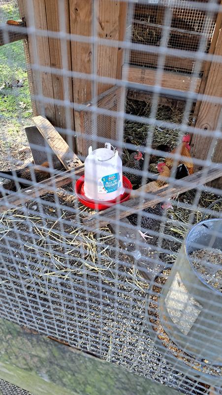 Helps keep water clean.