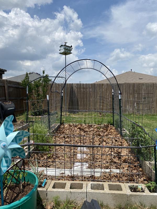 Arch construction
