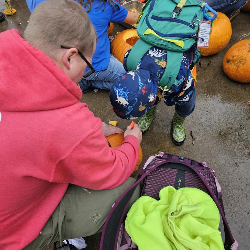 Boots worked great and my son loves them