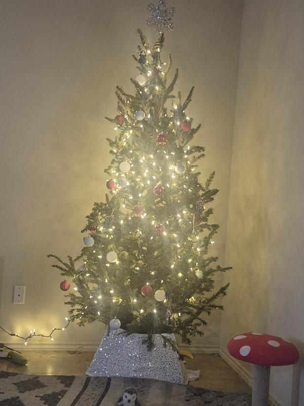 Review photo 3.