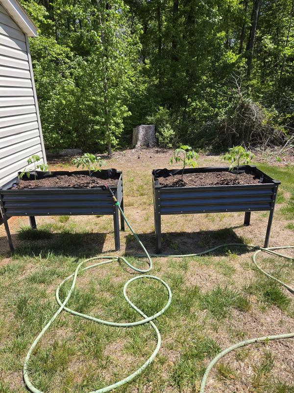 Ready for plants.