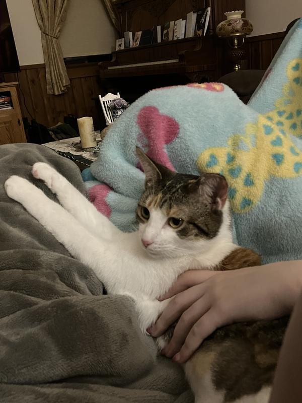 Fully belly. Time to rest.