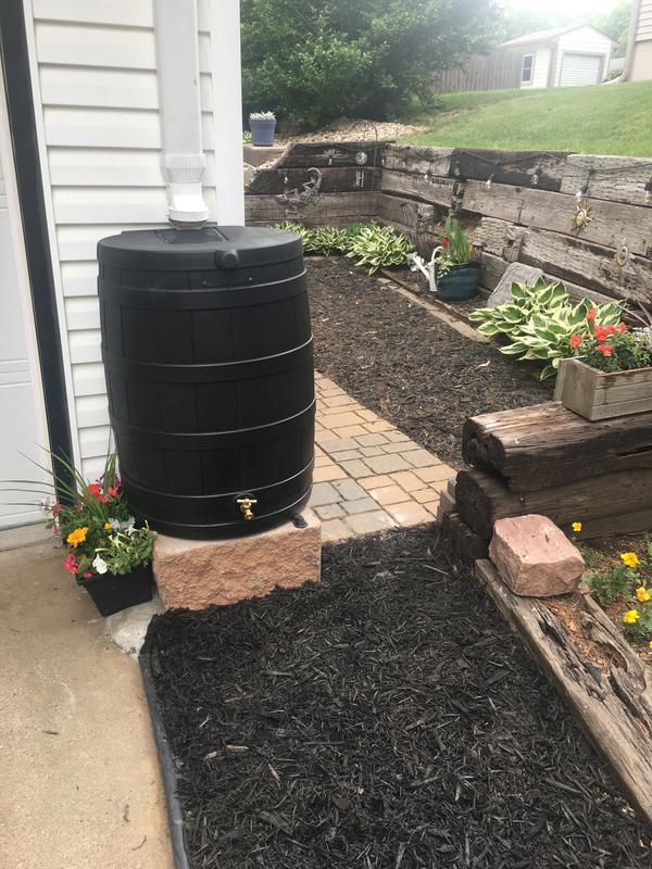 Looks great!