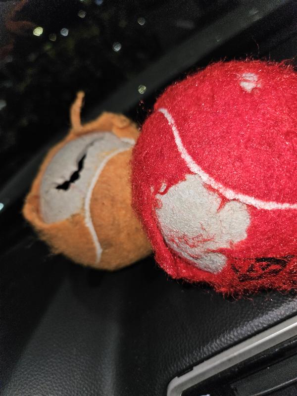 TOTAL CHEAP GARBAGE THESE ARE NOT MADE FOR DOGS