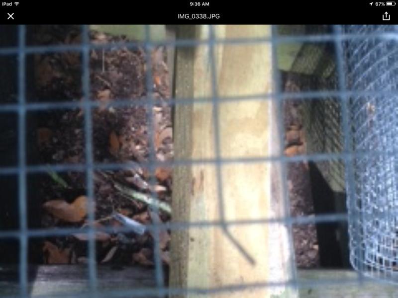 About every 8th row was like this throughout the whole roll. Other defects also were found.