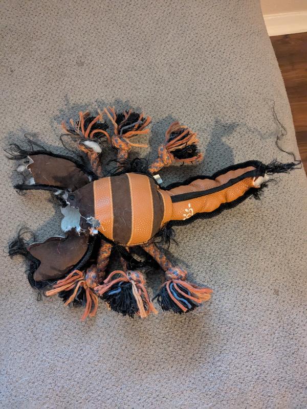 Lasts as long as the $50 toys