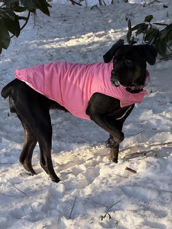 Her second winter styling in her new coat.