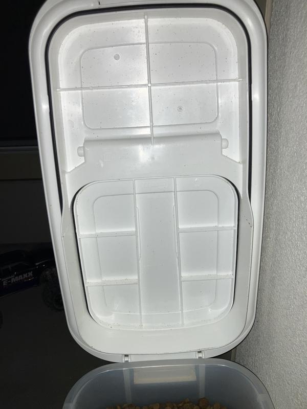 lid seals