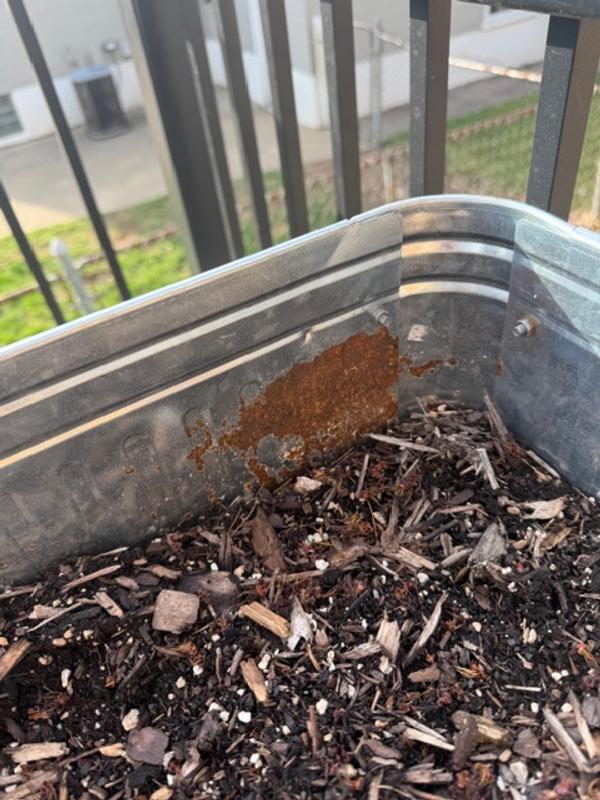 rust
