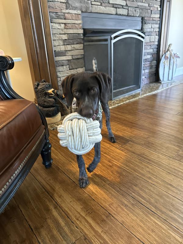 Retriever Knot Rope Dog Toy, Jumbo at Tractor Supply Co