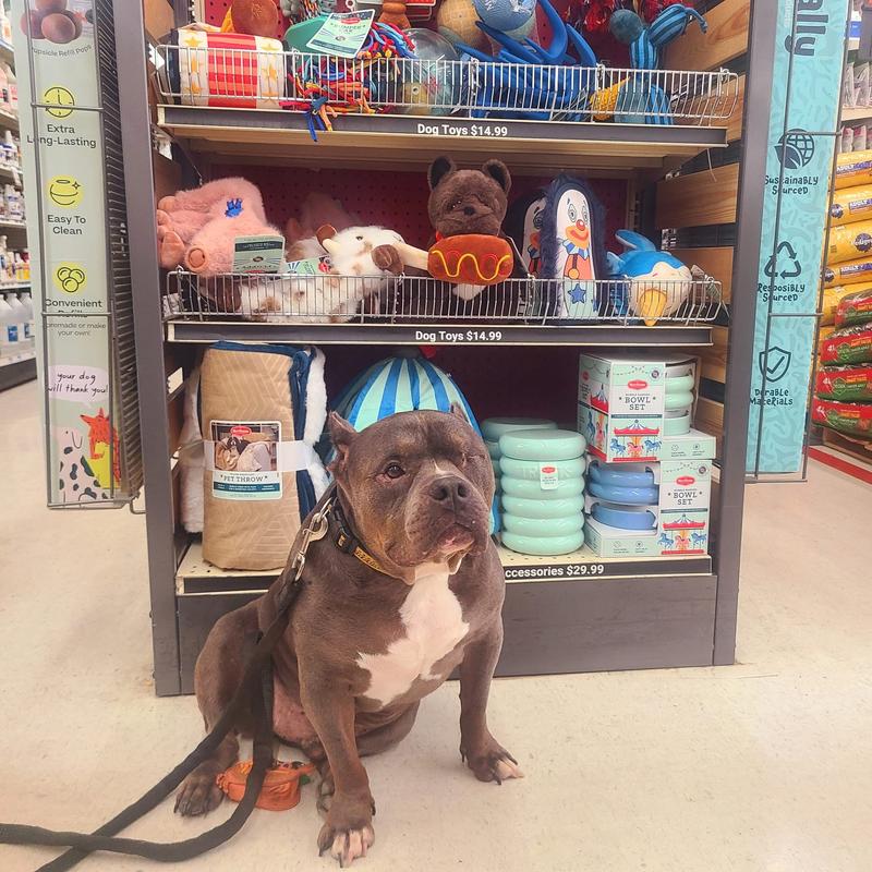 Kapono with his plushie!