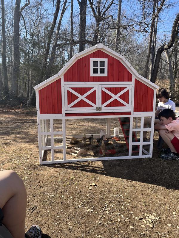 Very cute but not at all for 8 chickens