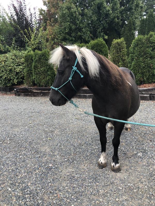 One of my many star point products