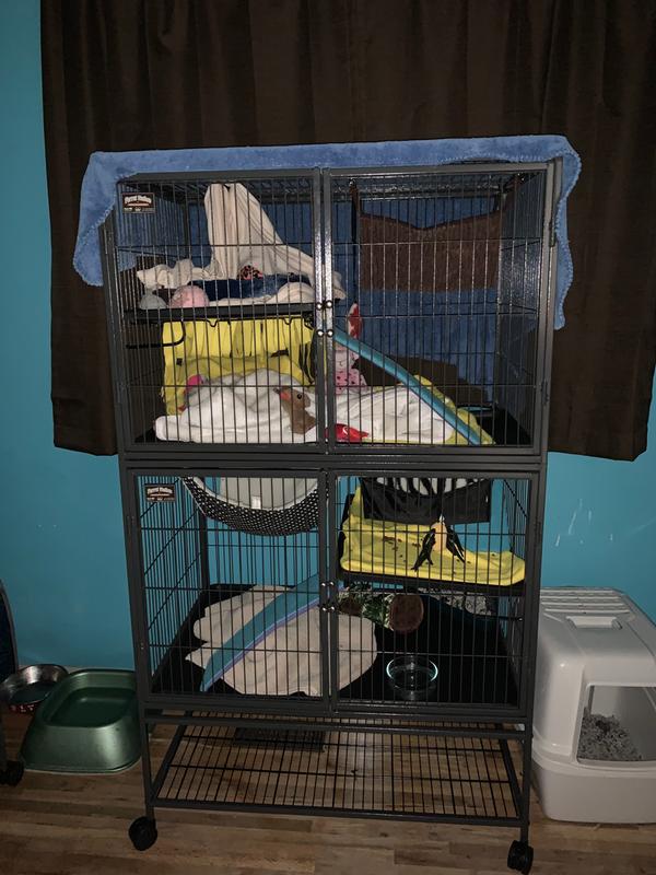 Great cage