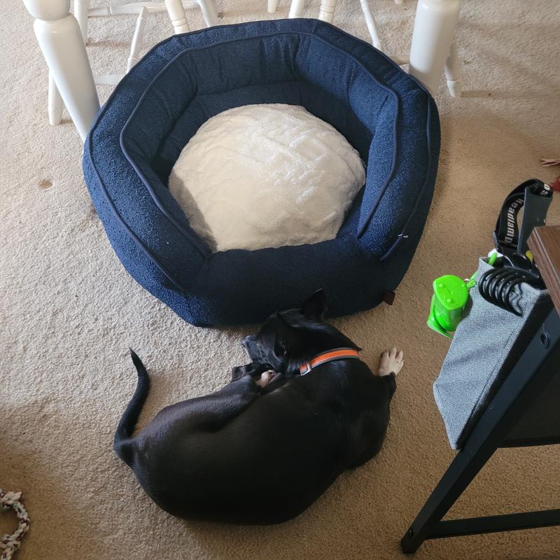 Spoiled