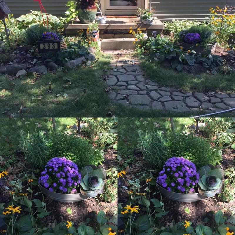 Painted galvanized wash tubs