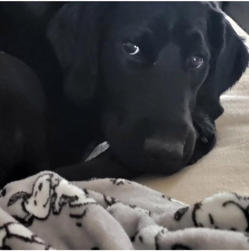 They grow up so fast!