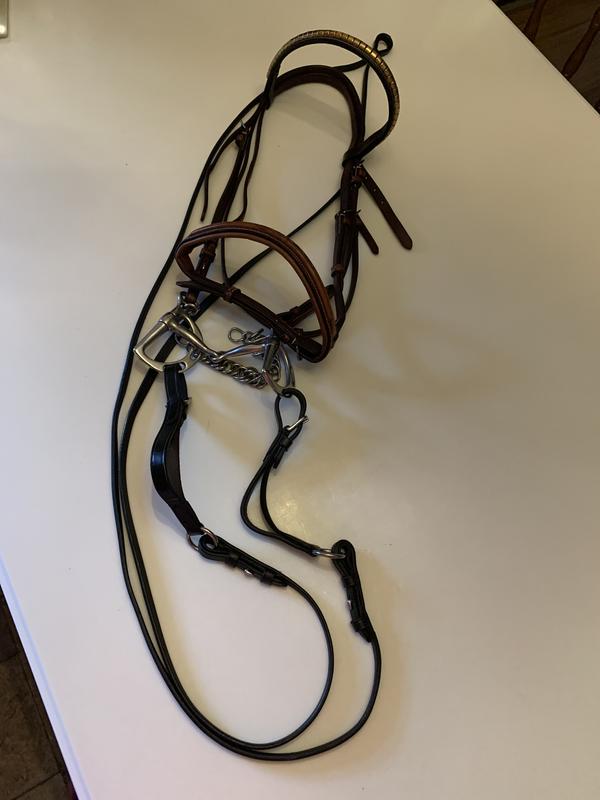 Cody’s bridle with rein-aid inserts attached