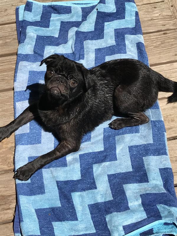 After a bath. To sparkle their eyes.