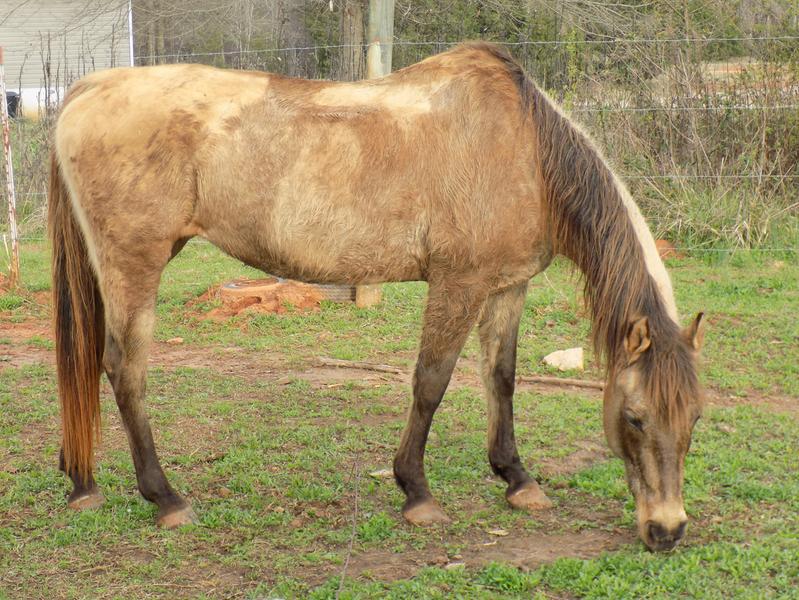 Lady before Omegatin was introduced