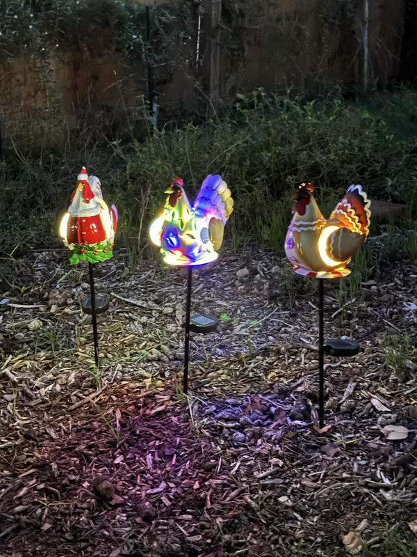 My Christmas chickens