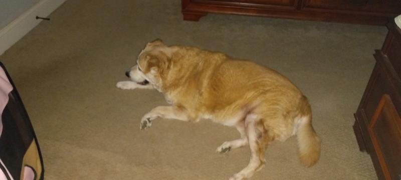 15 year old Mae Mae