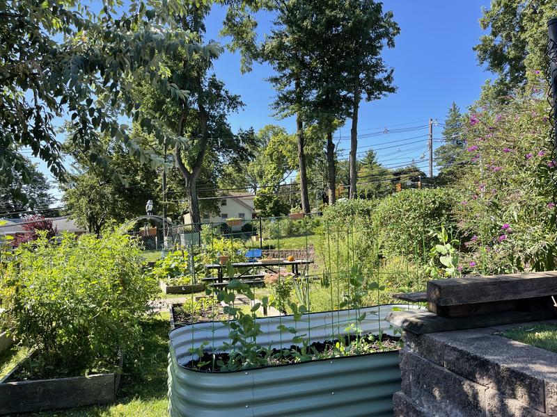 It’s a big job keeping our garden hydrated!