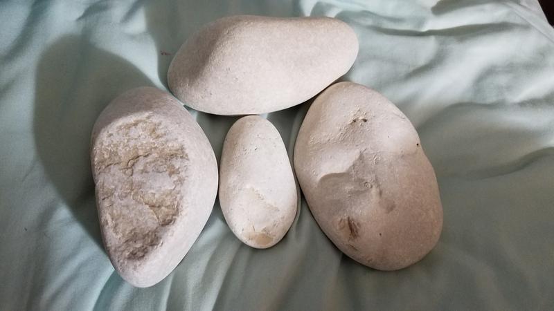 Here is an example of some that came in our shipment.