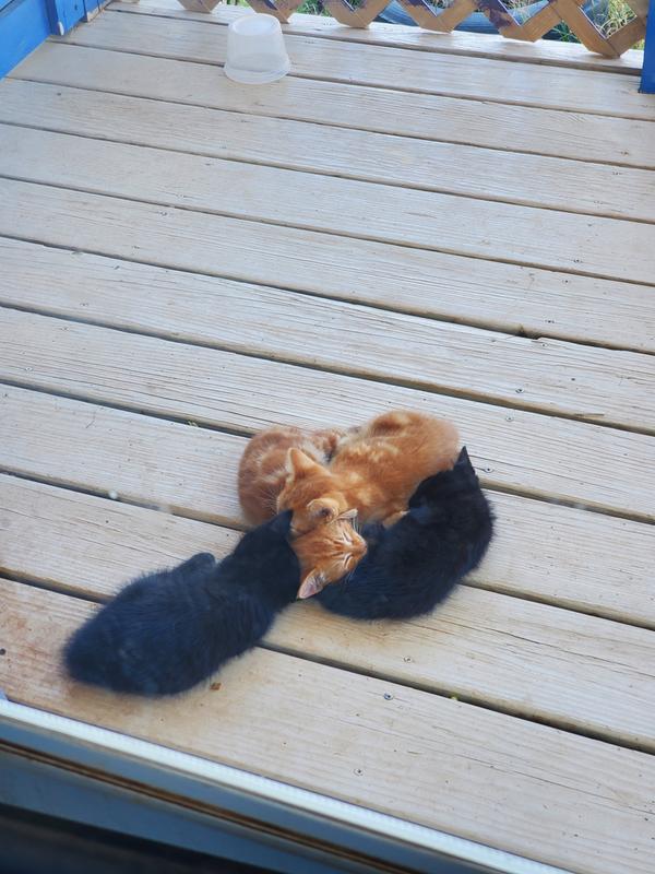 So cute!