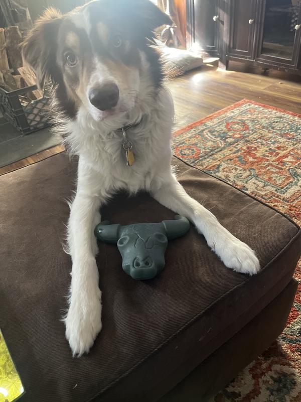 Loki