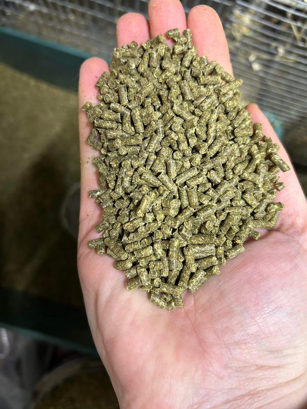 Love how green the manna pro sho formula is!