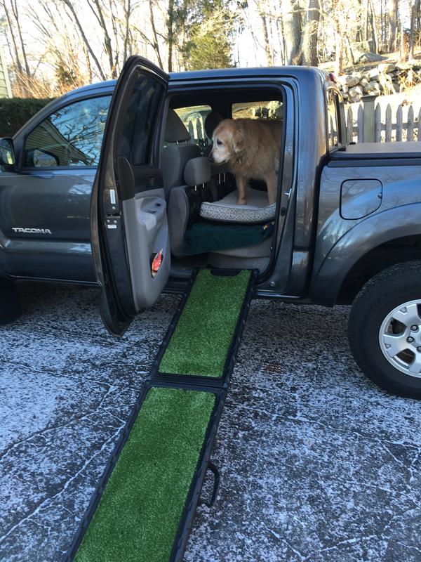 Rocket's new ramp and my back saver.