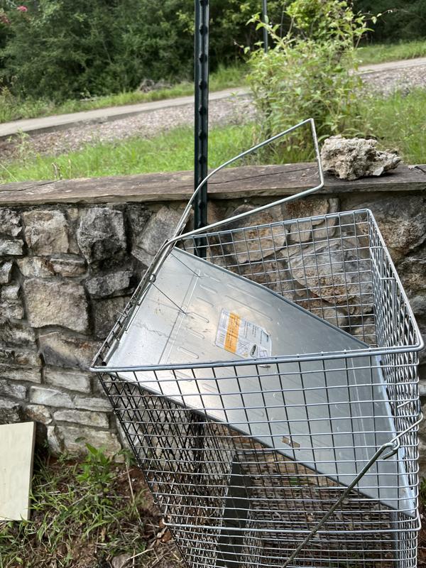 Bent trap door hold down frame