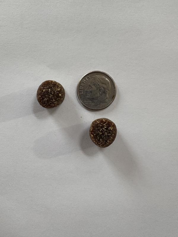 Perfectly sized (dime for comparison)