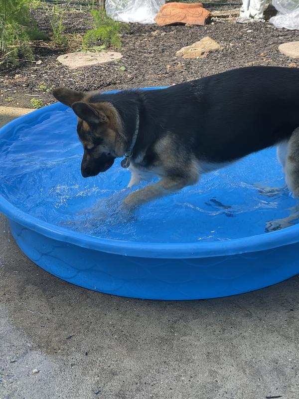 Suki