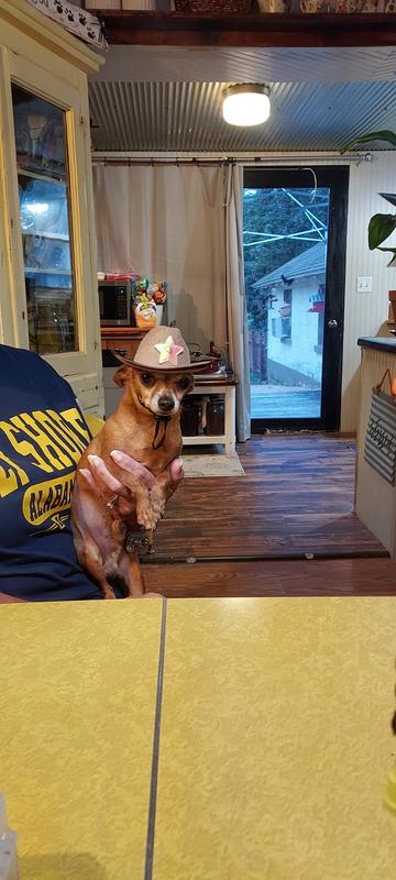 There's a new sheriff in town Mr. Mojo Brown Sigar Daddy.